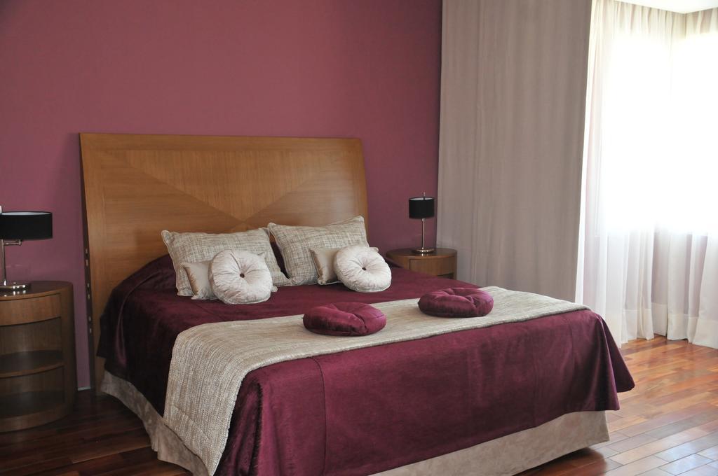 Antu Malal Hotel Пласа-Уинкуль Экстерьер фото