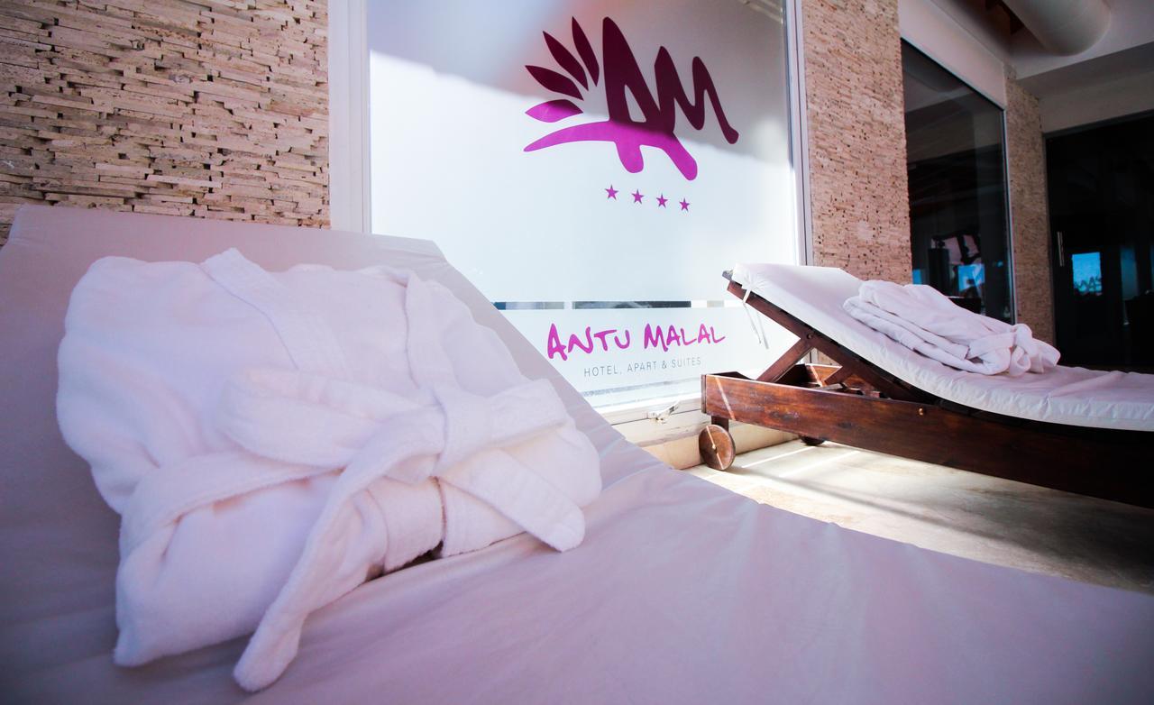Antu Malal Hotel Пласа-Уинкуль Экстерьер фото